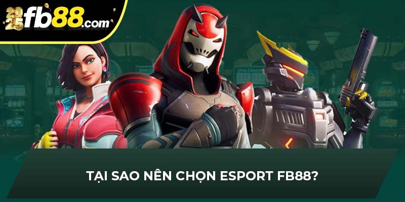 Hệ thống cập nhật nhanh chóng nhiều giải đấu esport FB88